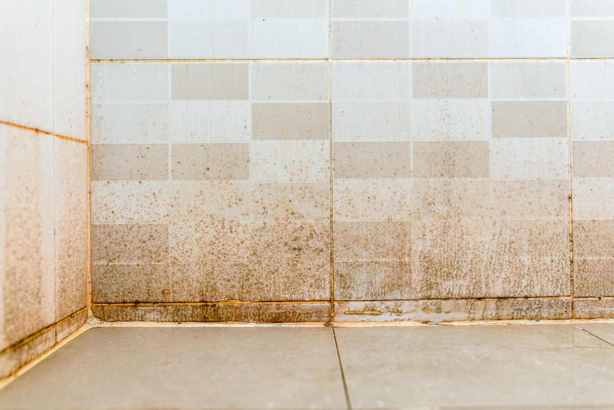 Dirty on ceramic wall in bathroom